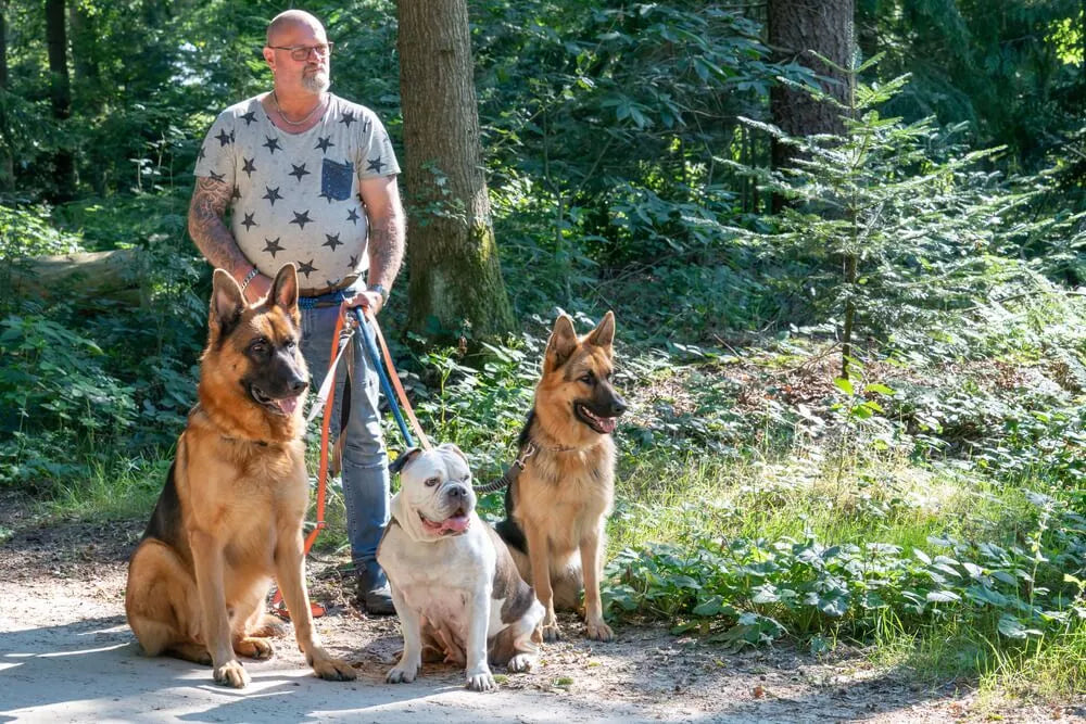 Badass best sale dog names