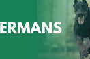 Dobermans
