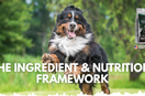 Smart Carbs in Pet Food: Purpose Over Filler