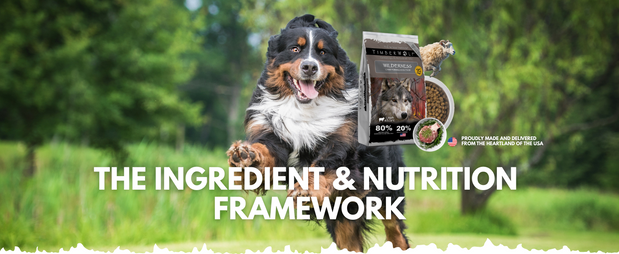 food for dogs with a sensitive stomach