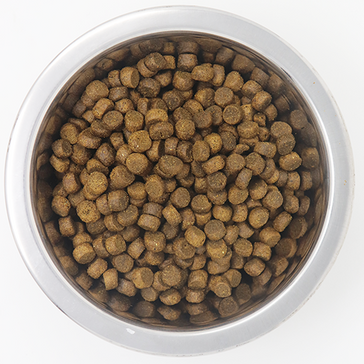 What is Kibble? A Deep Dive into High-Quality Pet Food Production