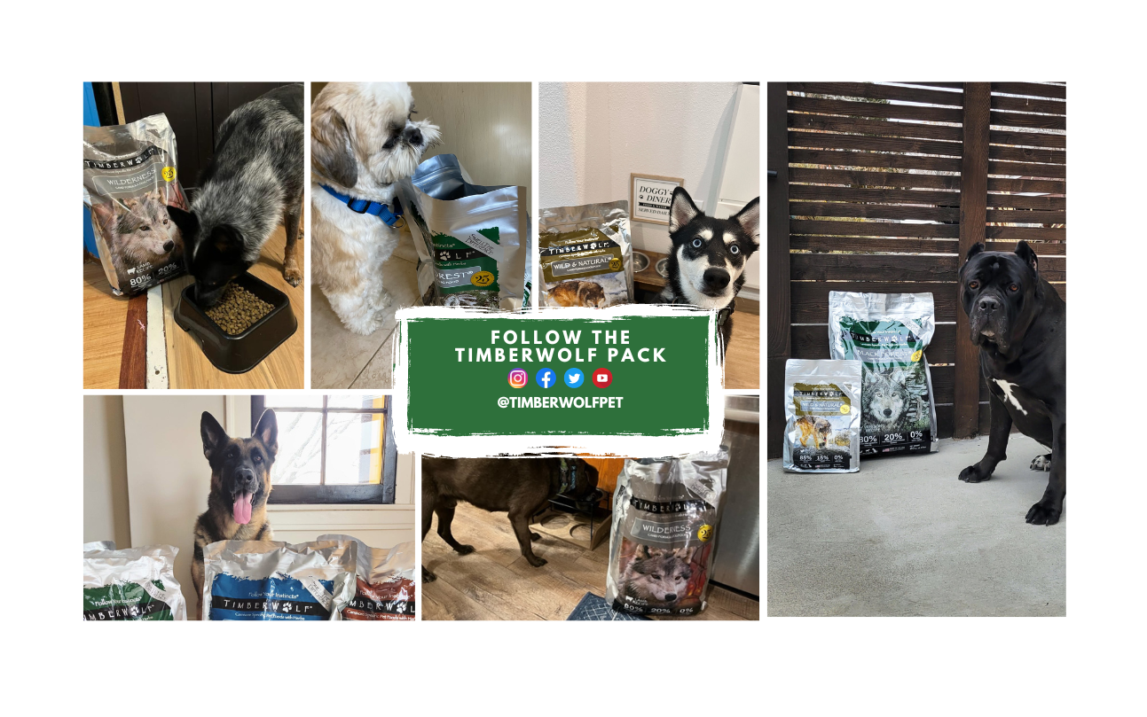 Timberwolf dog 2024 food for puppies